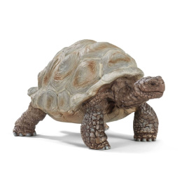 Schleich Wild Life Giant tortoise [14824]